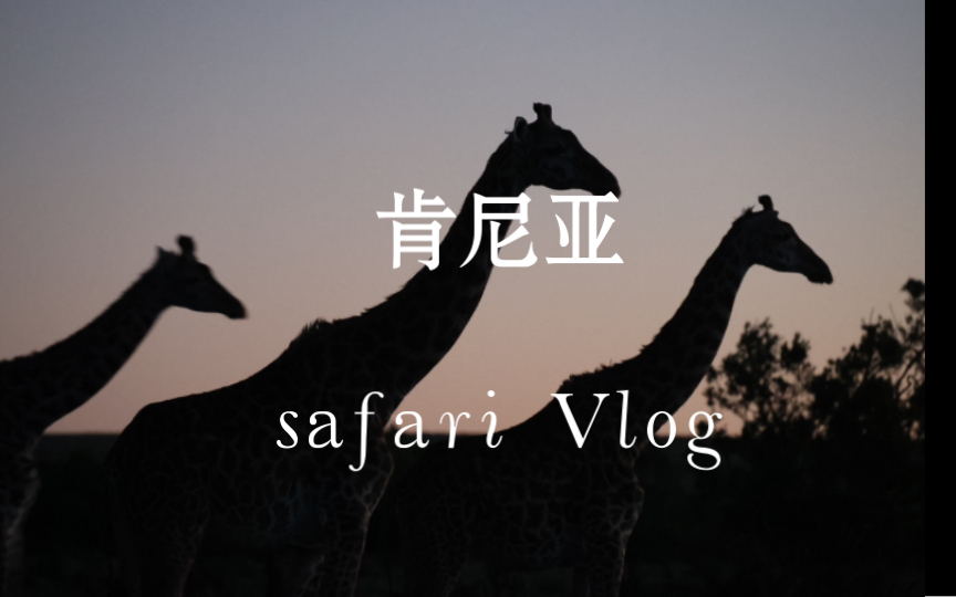 [图]【旅行Vlog】肯尼亚Safari ，可惜这个季节没有动物大迁徙