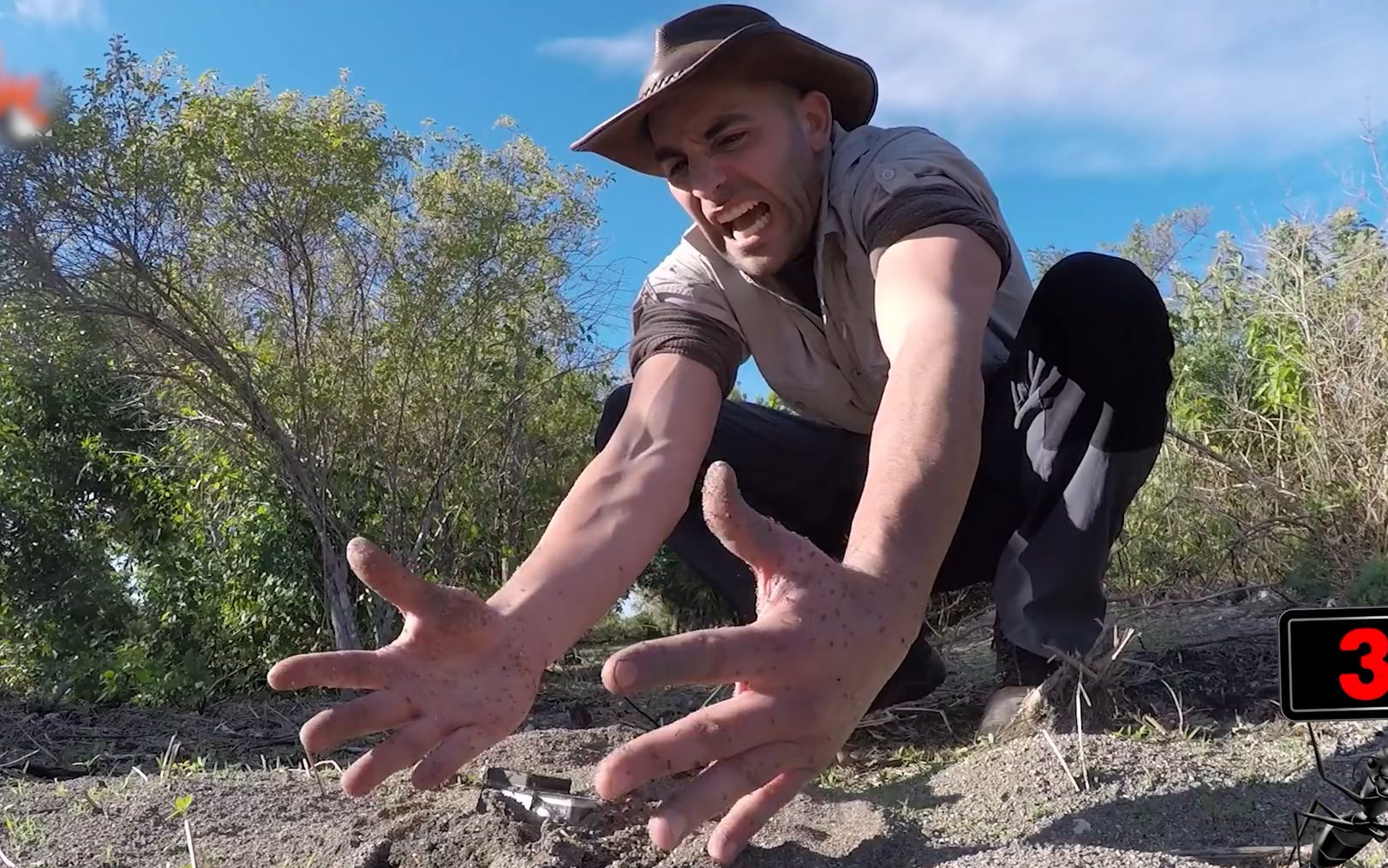 你知道被几百只蚂蚁围攻是什么感觉吗?狼叔《作死挑战》带你体验