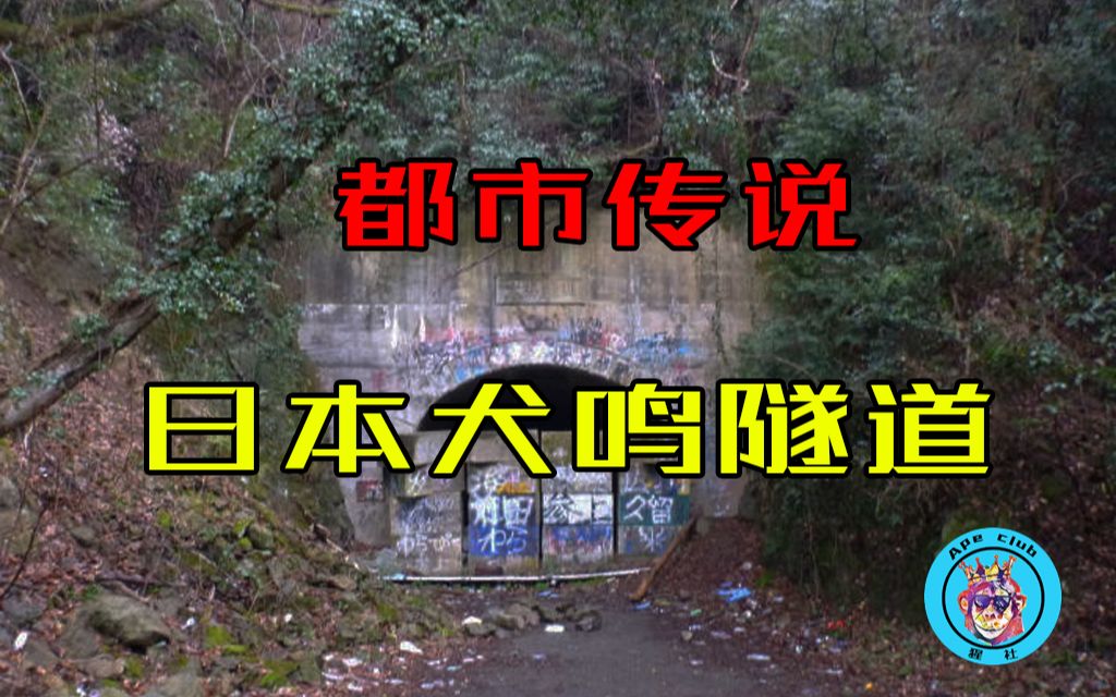 都市传说日本犬鸣隧道猩社ape