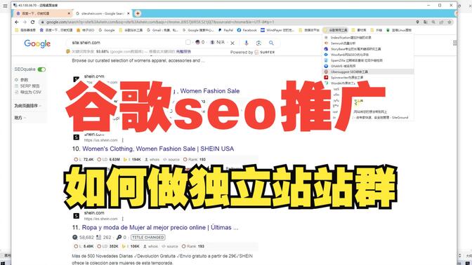 独立站站群怎么做谷歌seo网站优化搜索排名推广教程引流课程
