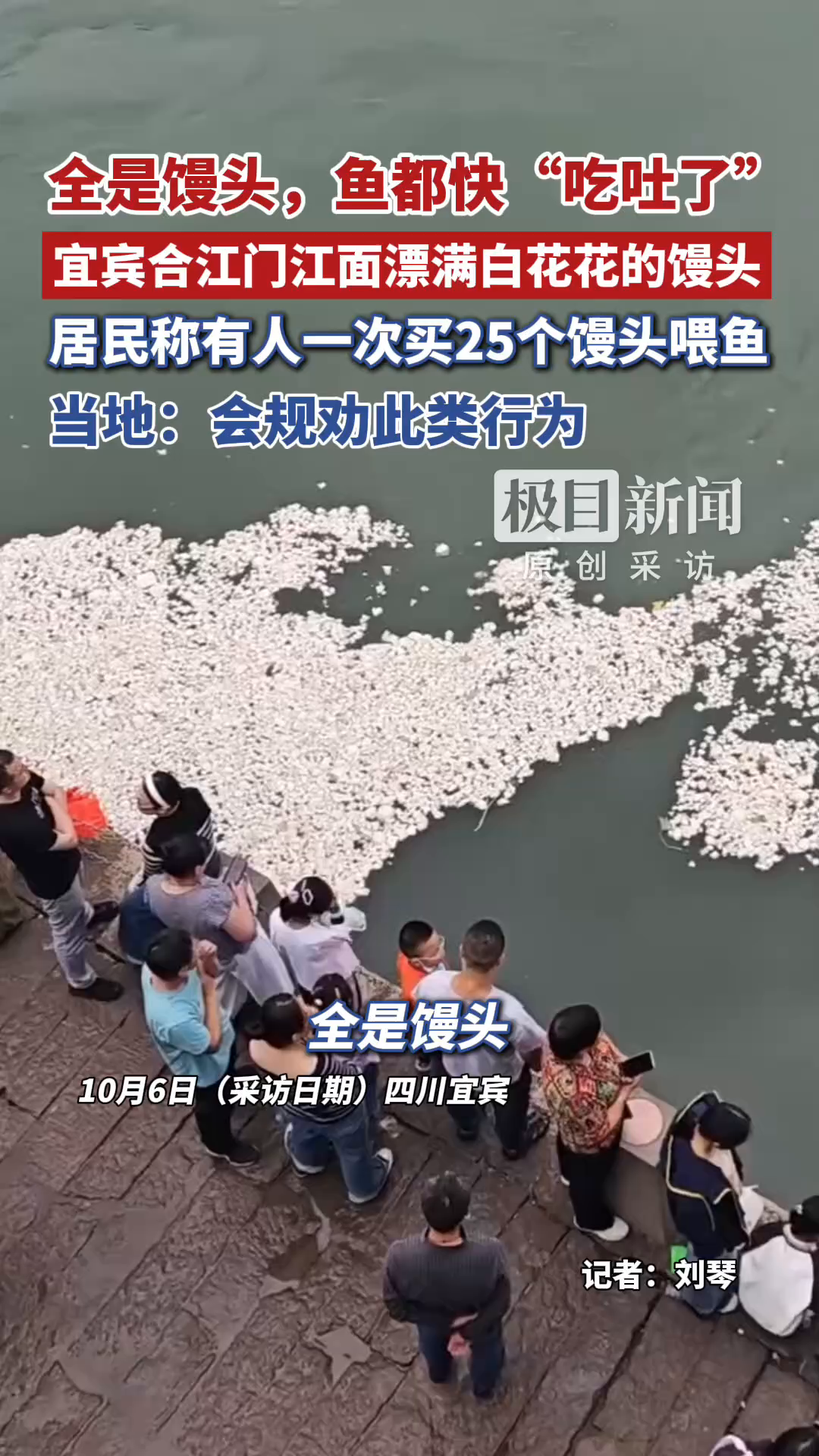 宜宾合江门江面漂满白花花的馒头，有人一次买25个馒头喂鱼，居民称“鱼食多得根本吃不完”，当地：会规劝此类行为（独家采访）