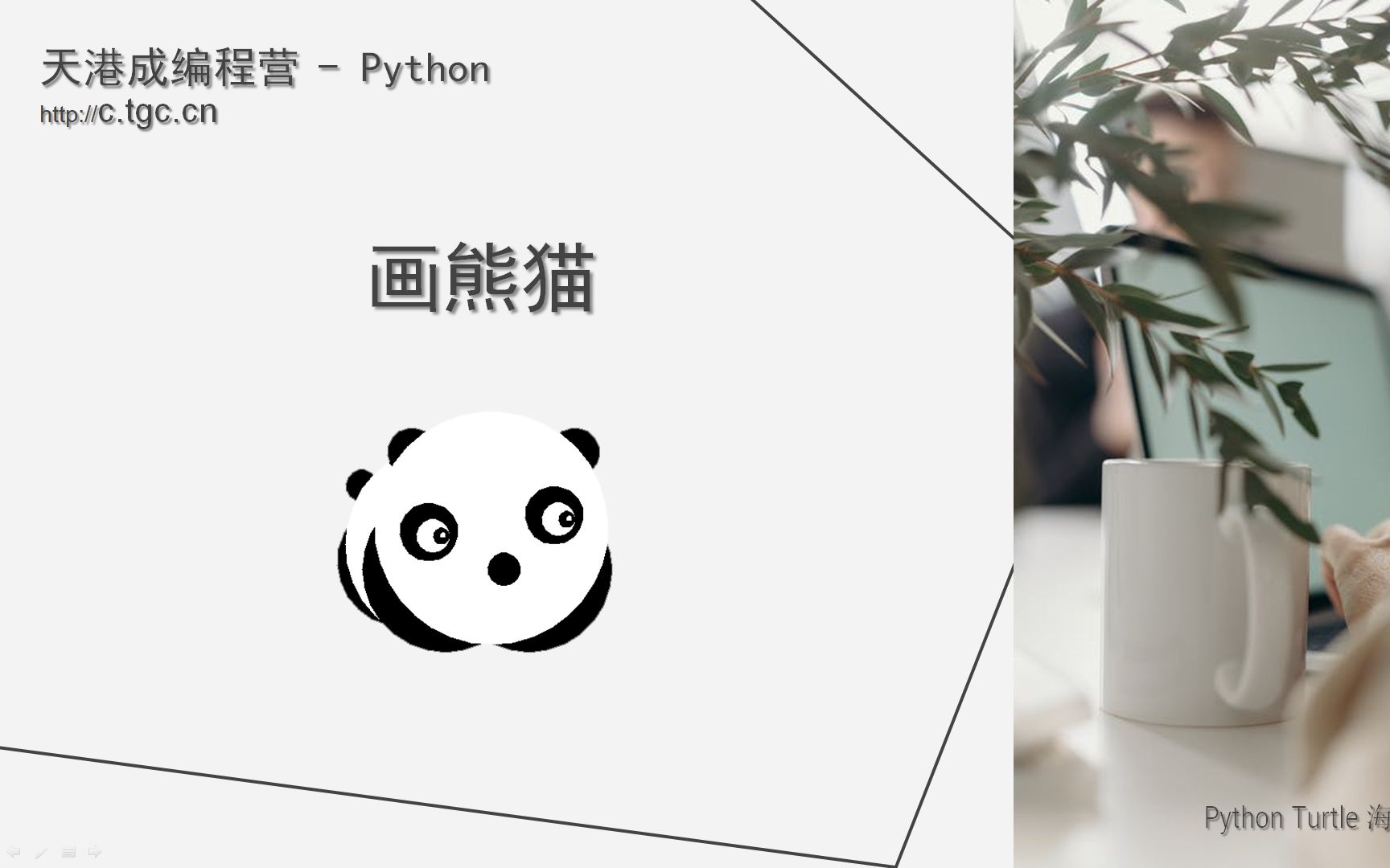 [图]Python 体验课（1） - Panda 画熊猫