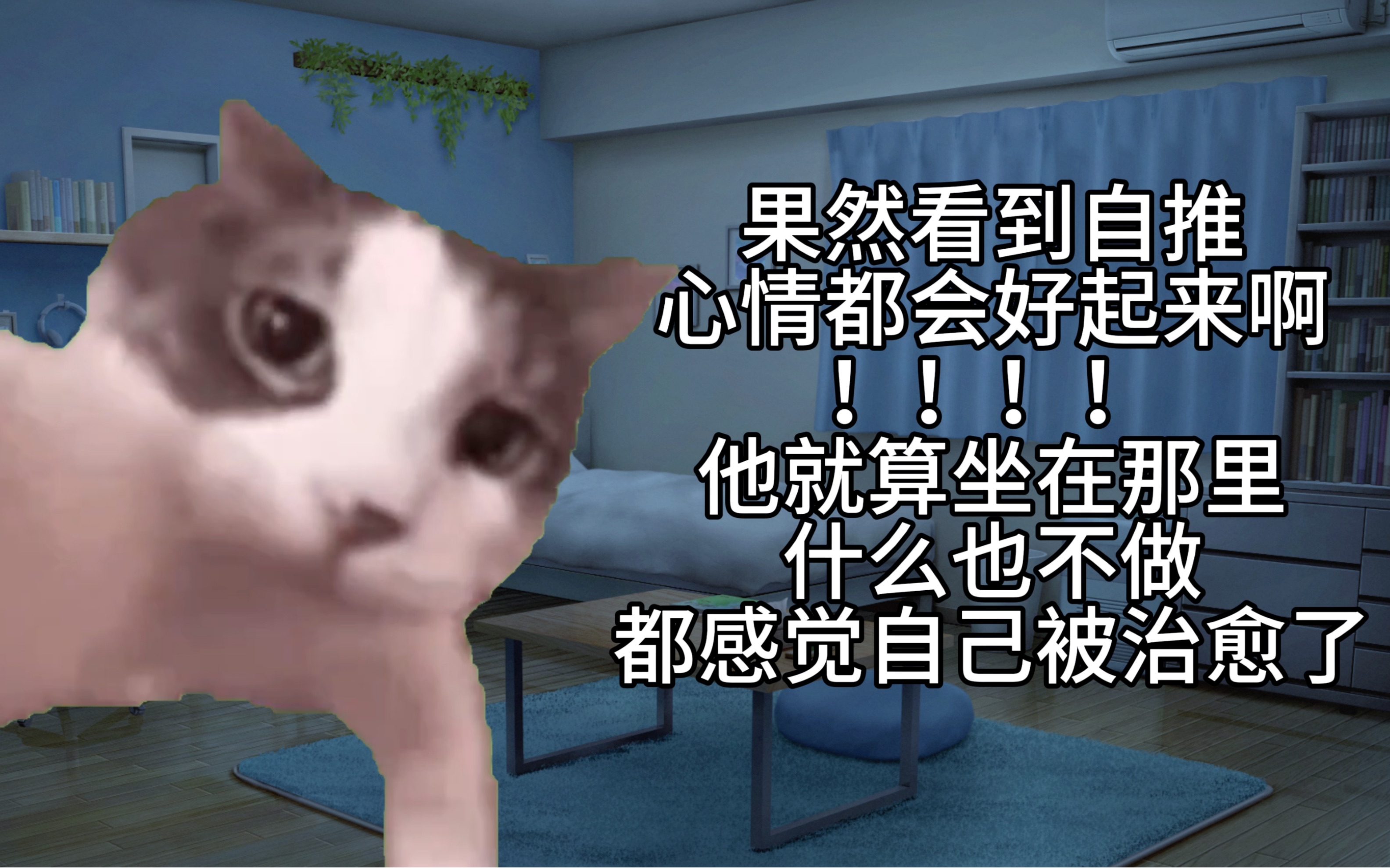 [图]【小猫meme】被我推只用两句话就给治愈了｜考试前我的混乱生活（上）