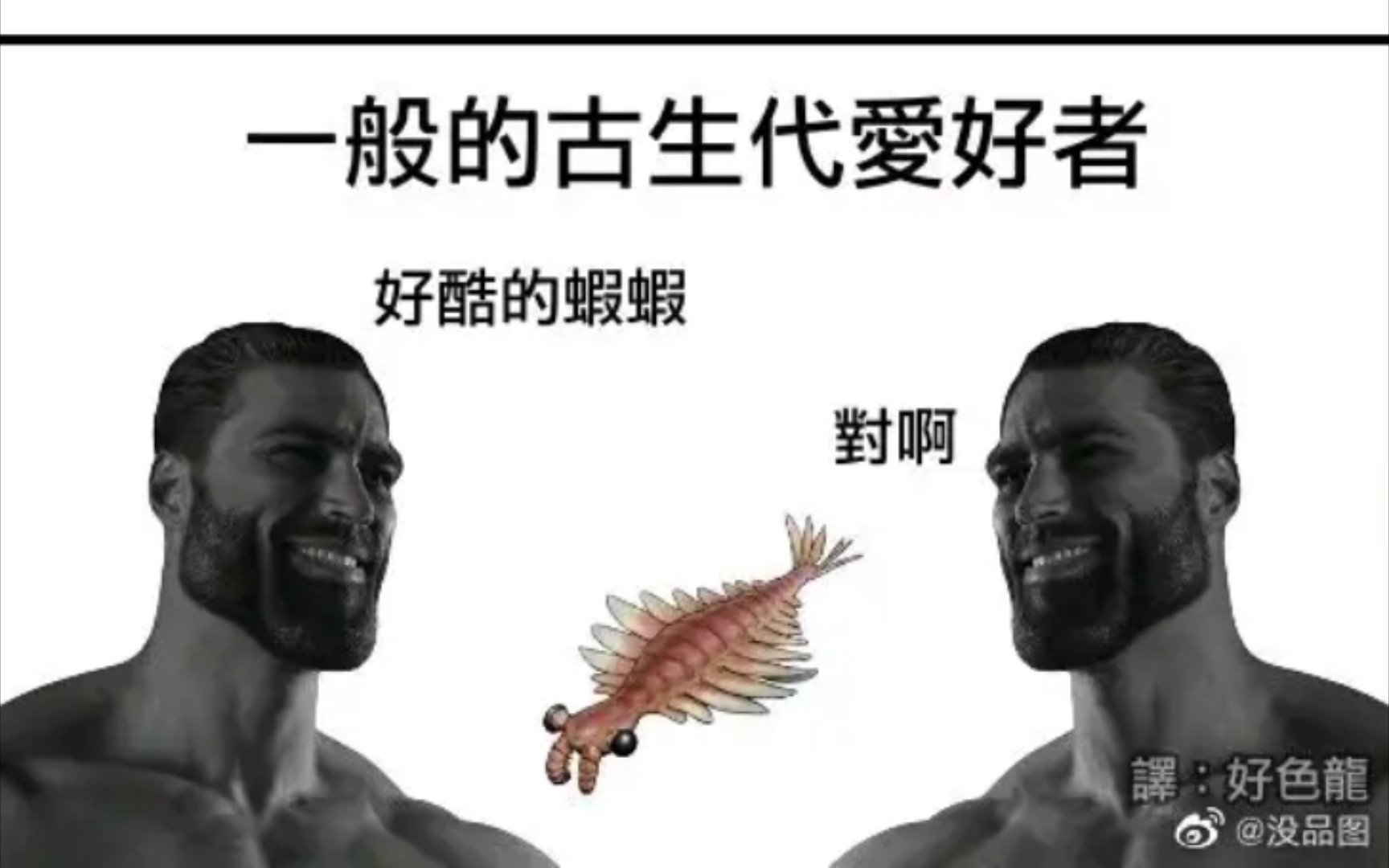 [图]古生物圈现状（算是吧）