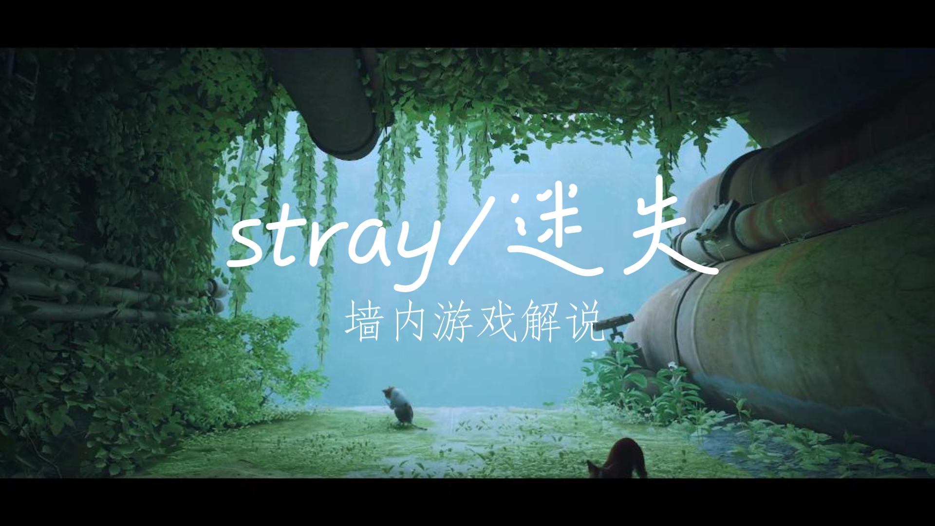 【stray/迷失】游戏攻略第一篇墙内