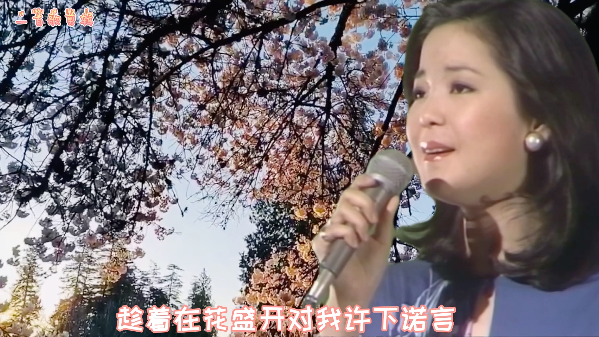 [图]邓丽君经典歌曲：《让花儿为你开》