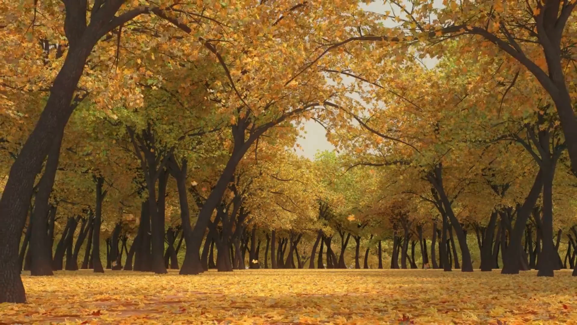 秋天的风景哔哩哔哩bilibili