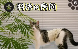 クロエの部屋 搜索结果 哔哩哔哩 Bilibili