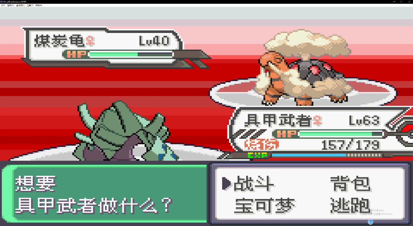 龙辰神奇宝贝究极绿宝石小智版第十一集打败火岩队老大1