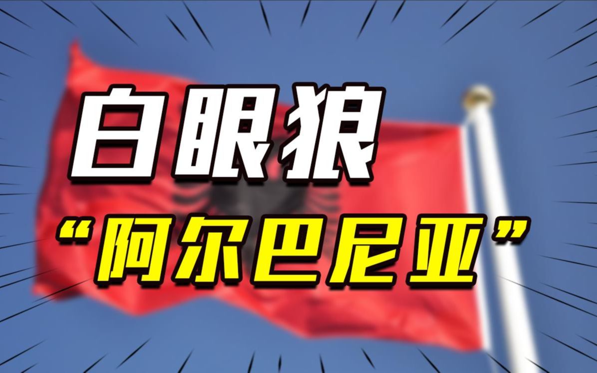 阿尔巴尼亚力挺中国进五常后,狮子大张口,邓公:停止一切援助
