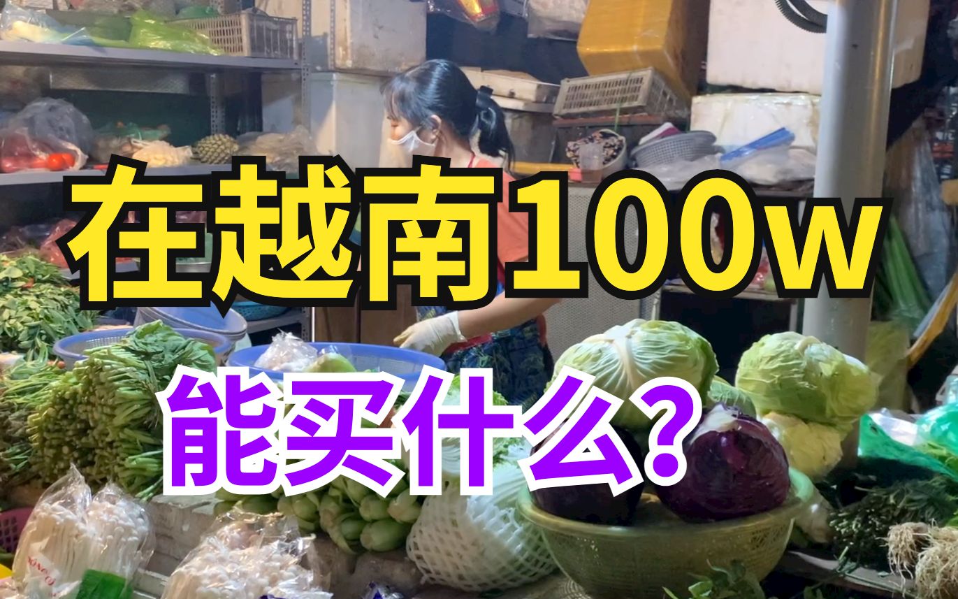 物价便宜?在越南花100万能买什么?哔哩哔哩bilibili