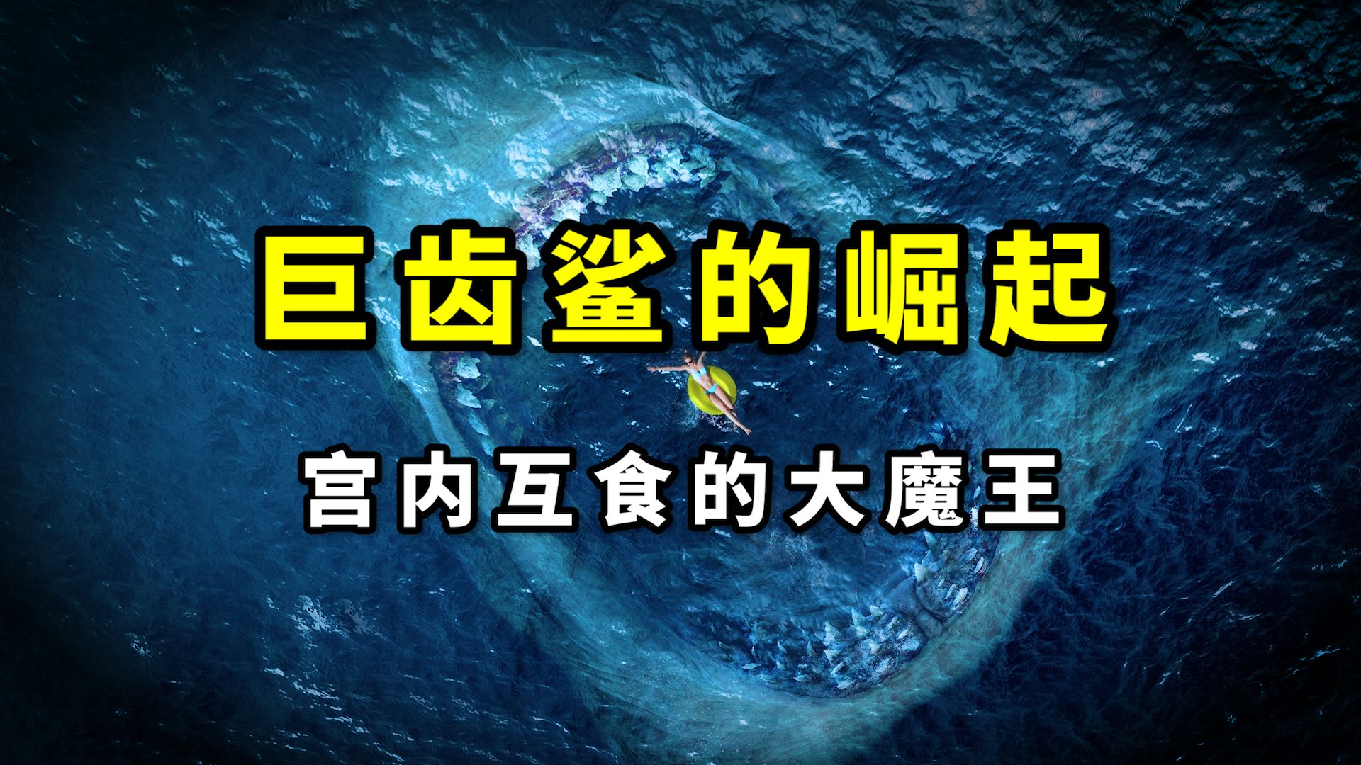 巨齿鲨巨型化之谜:子宫内互食导致了巨型化?哔哩哔哩bilibili