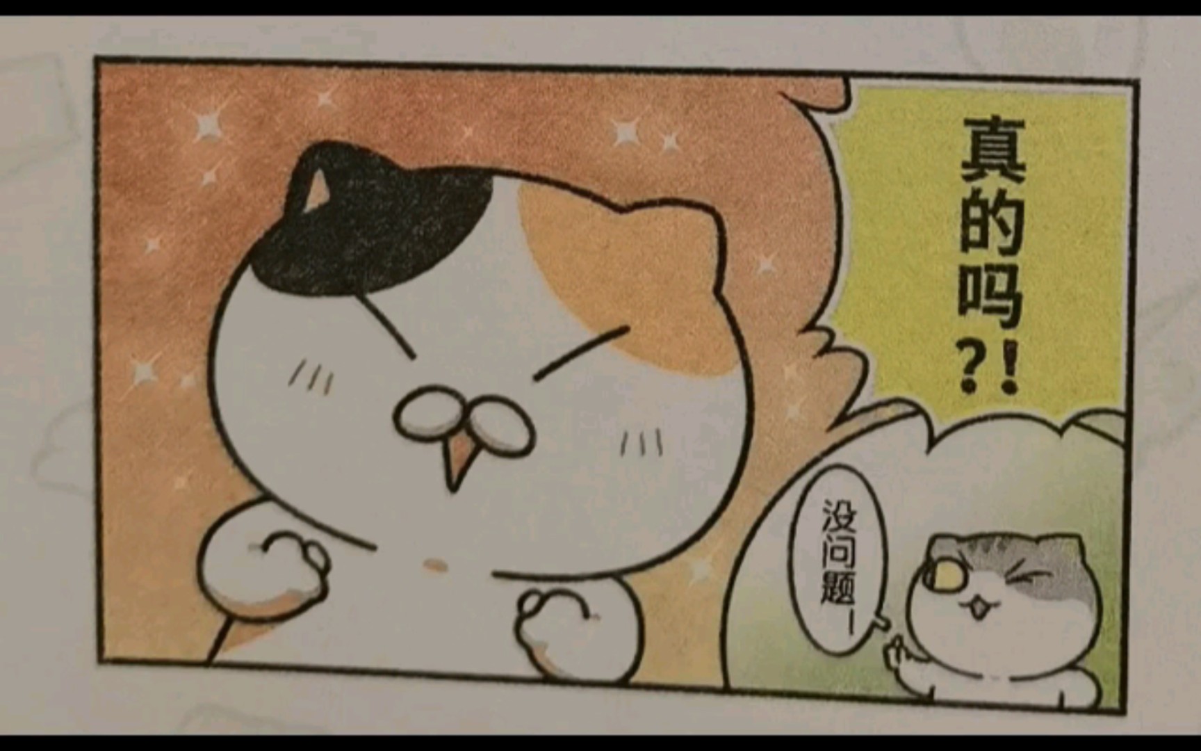 一群喵之花卷的体验