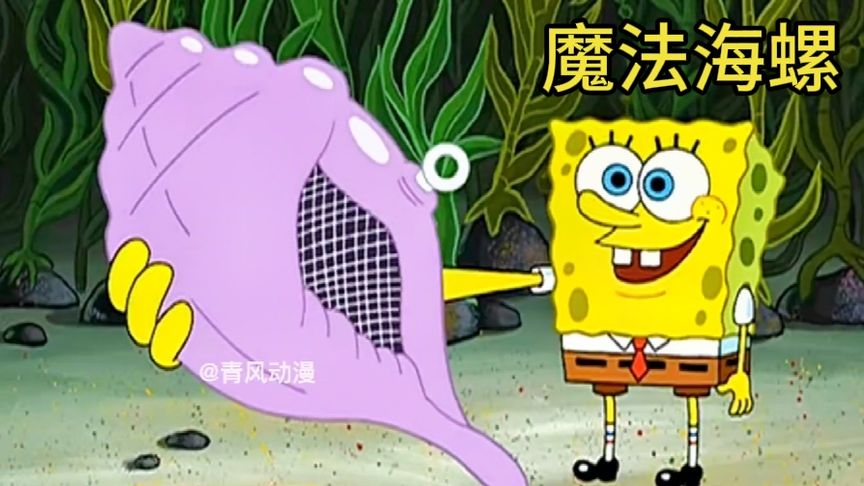 "神奇的魔法海螺"