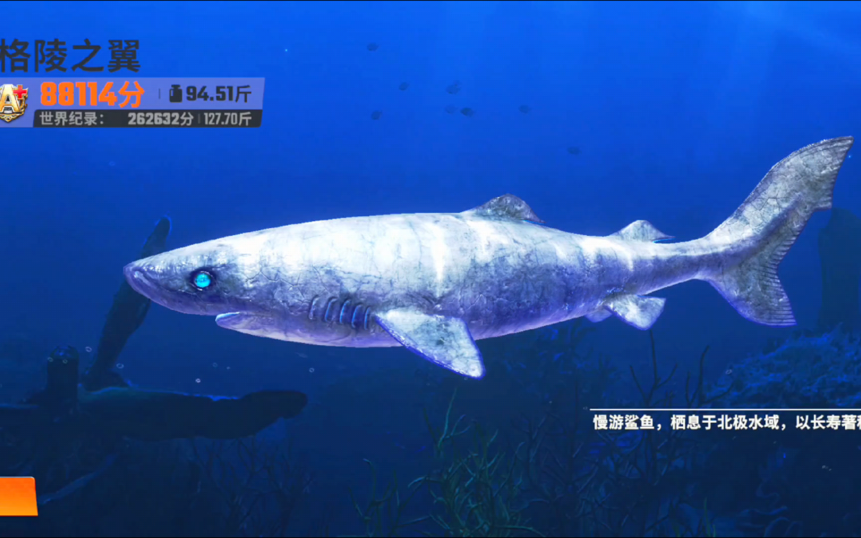 被死神遗忘的鲨鱼:格陵之翼