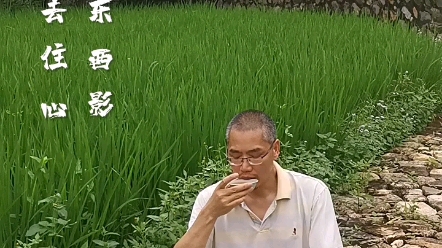 [图]田间茶•集句