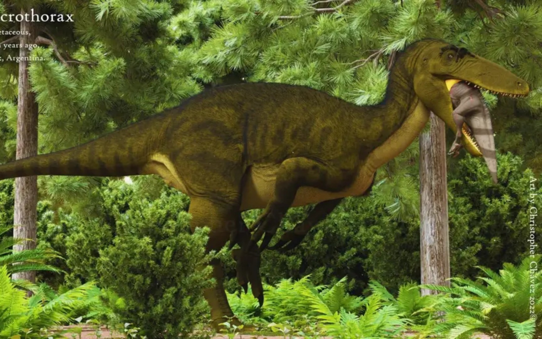 2022新种大盗龙类寒风戮影龙简单科普