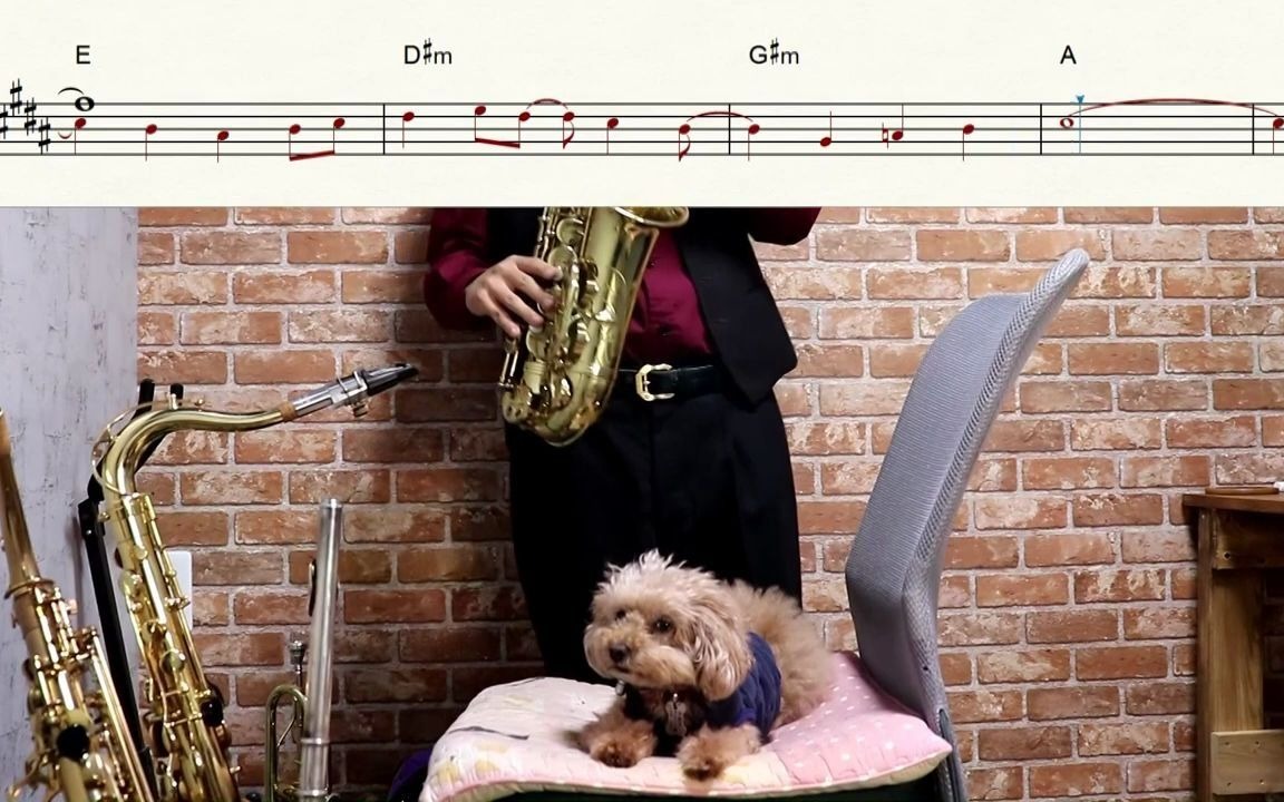 中音萨克斯谱 【学园偶像 阳光! 】water blue new world