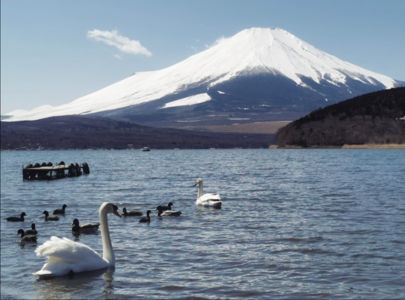 天气好的话,去富士山散步吧!哔哩哔哩bilibili