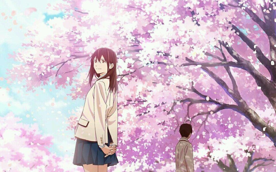 [图]《 桜・咲くころ 》 樱花盛开的时候