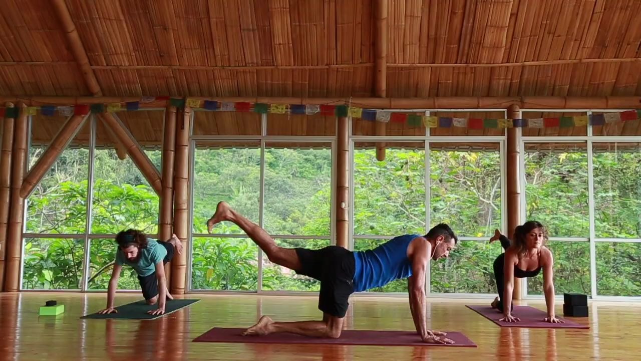 [图]Doron Hanoch | Yoga after a Break, Sickness, Injury