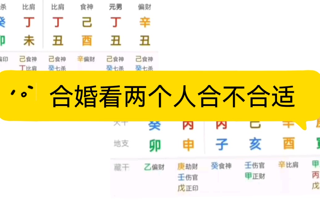 如何看两个人合不合适,合婚的几个要素,八字命理周易哔哩哔哩bilibili