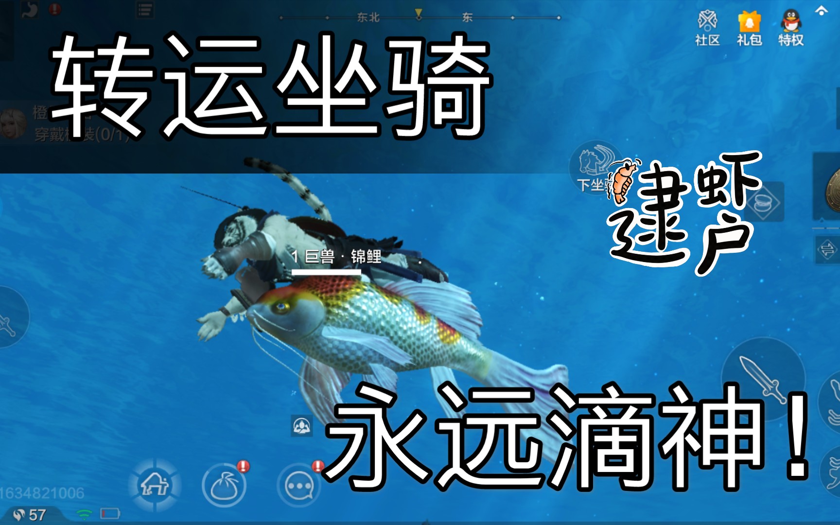 转运坐骑—锦鲤【妄想山海】