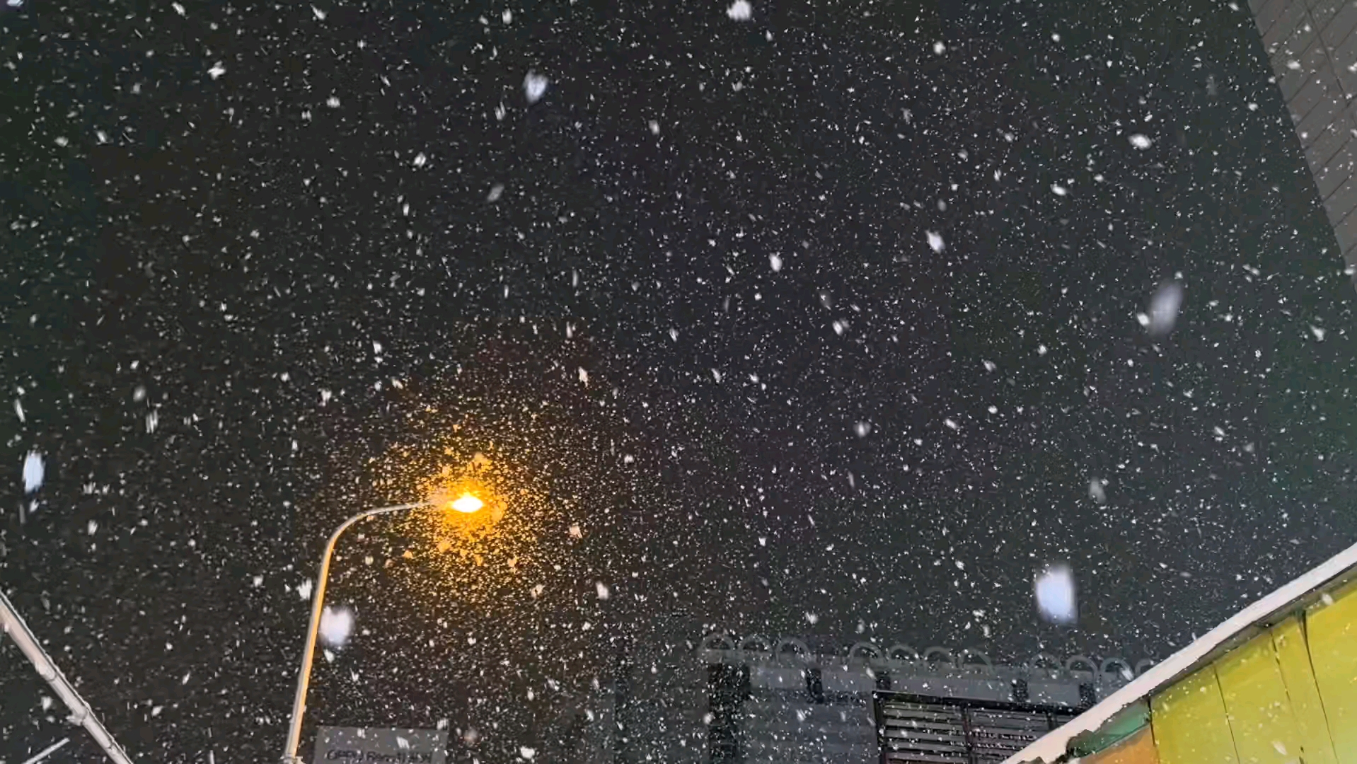 北方大雪纷飞,啦啦啦
