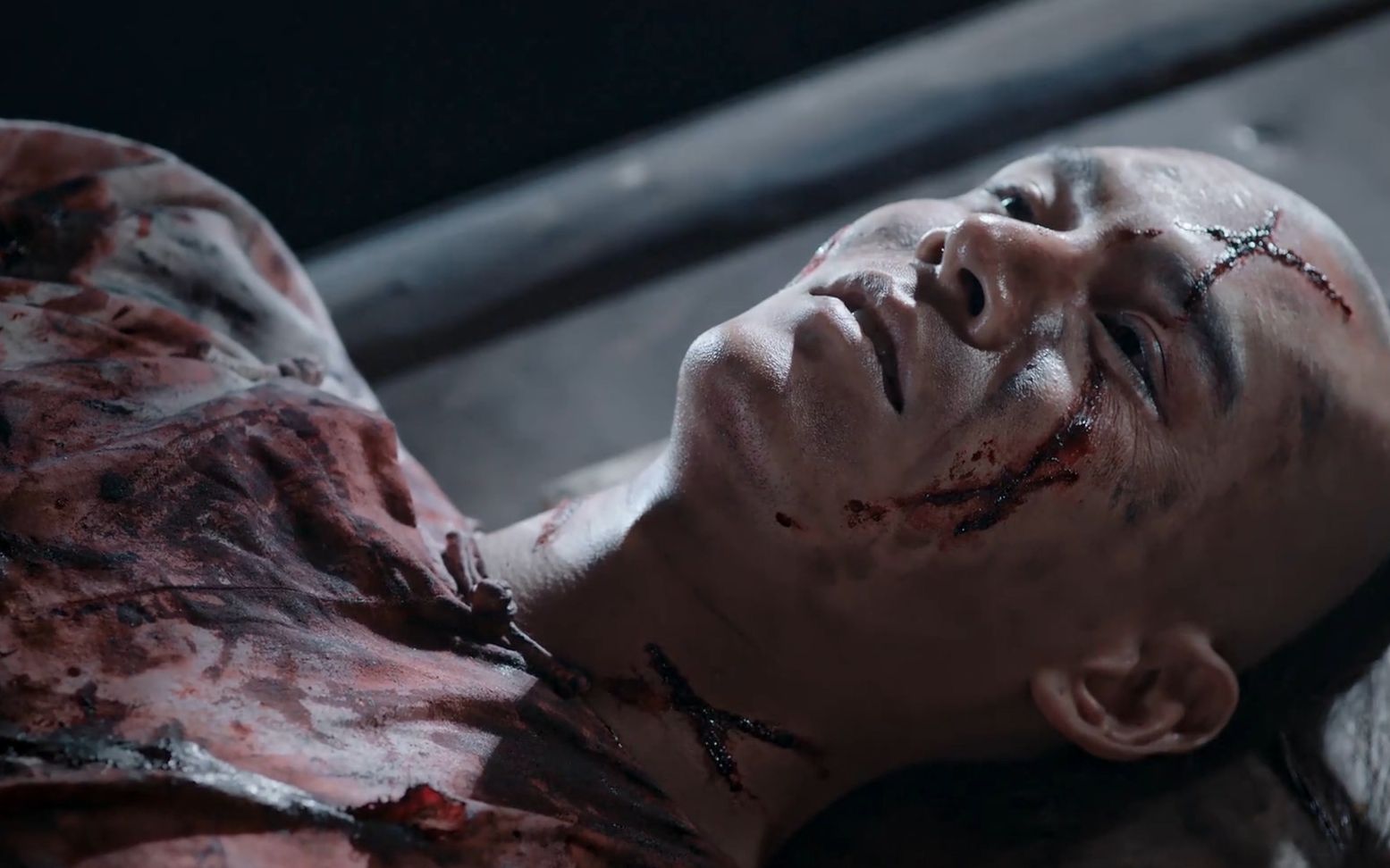 乾隆为了泄愤,将凌云彻打的遍体鳞伤,他到死还惦记着皇后的梅花