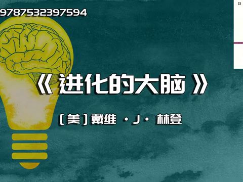 《进化的大脑》我们的大脑其实是一个效率比较低的器官哔哩哔哩bilibili