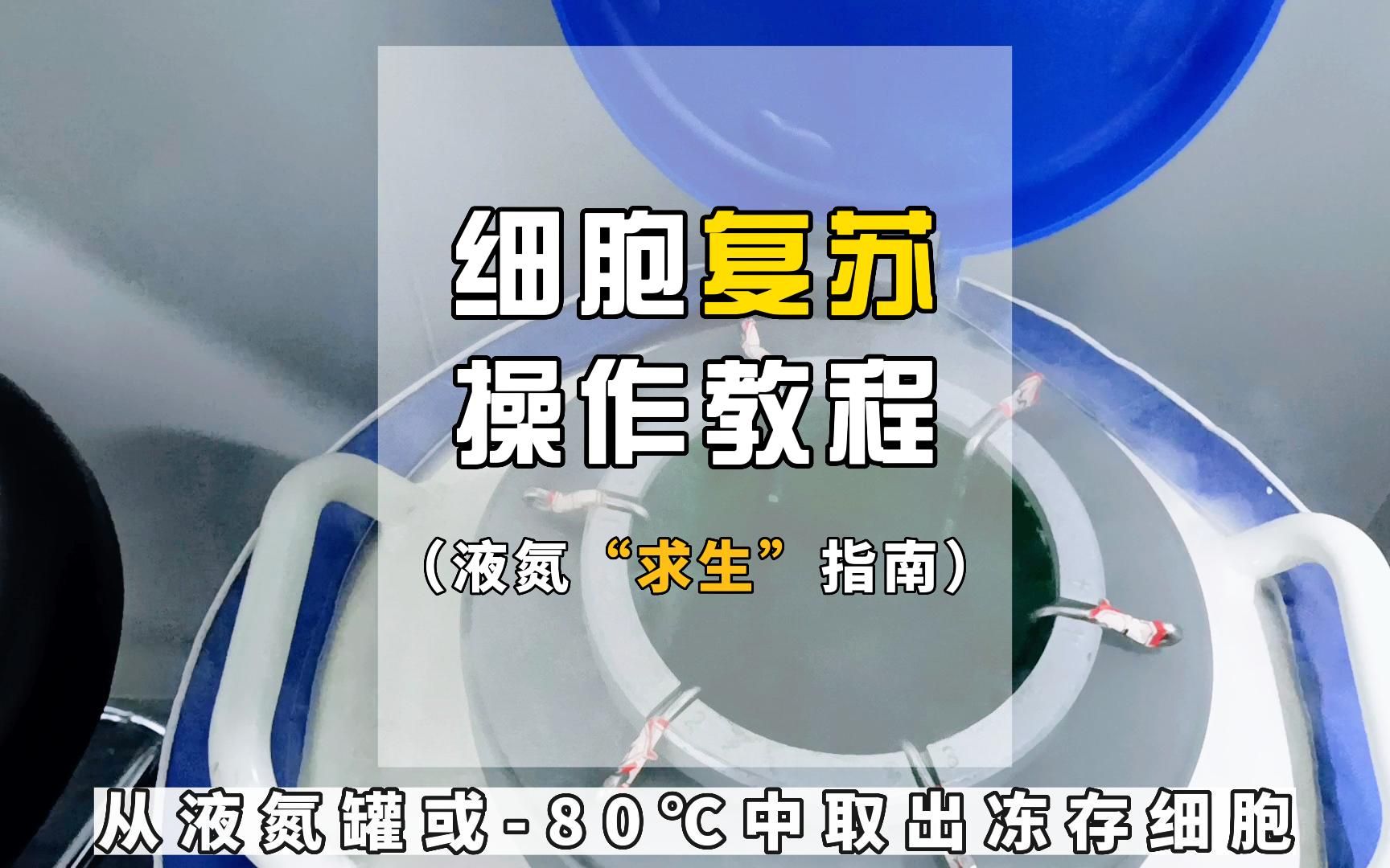 细胞复苏怎么做?沉浸式基础细胞实验教学!细胞复苏要注意什么?液氮中取出冻存细胞的求生指南,务必看到最后的注意事项哦~力显培训小课堂分享哔哩...