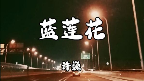 许巍《蓝莲花》哔哩哔哩bilibili