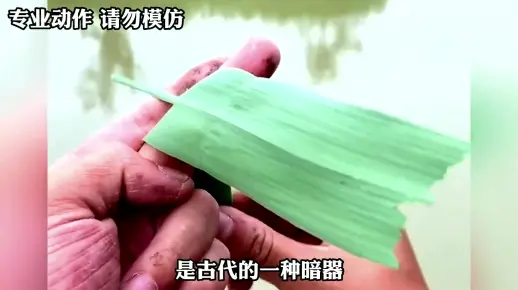 盘点高手在民间系列，行行出状元，个个身怀绝技