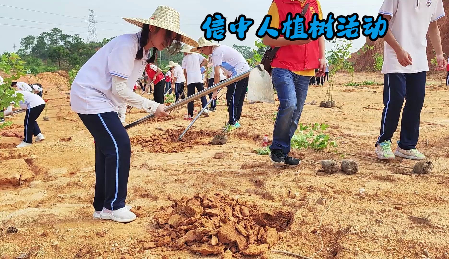 【快讯】信宜中学师生参与市教育局"青年林"活动