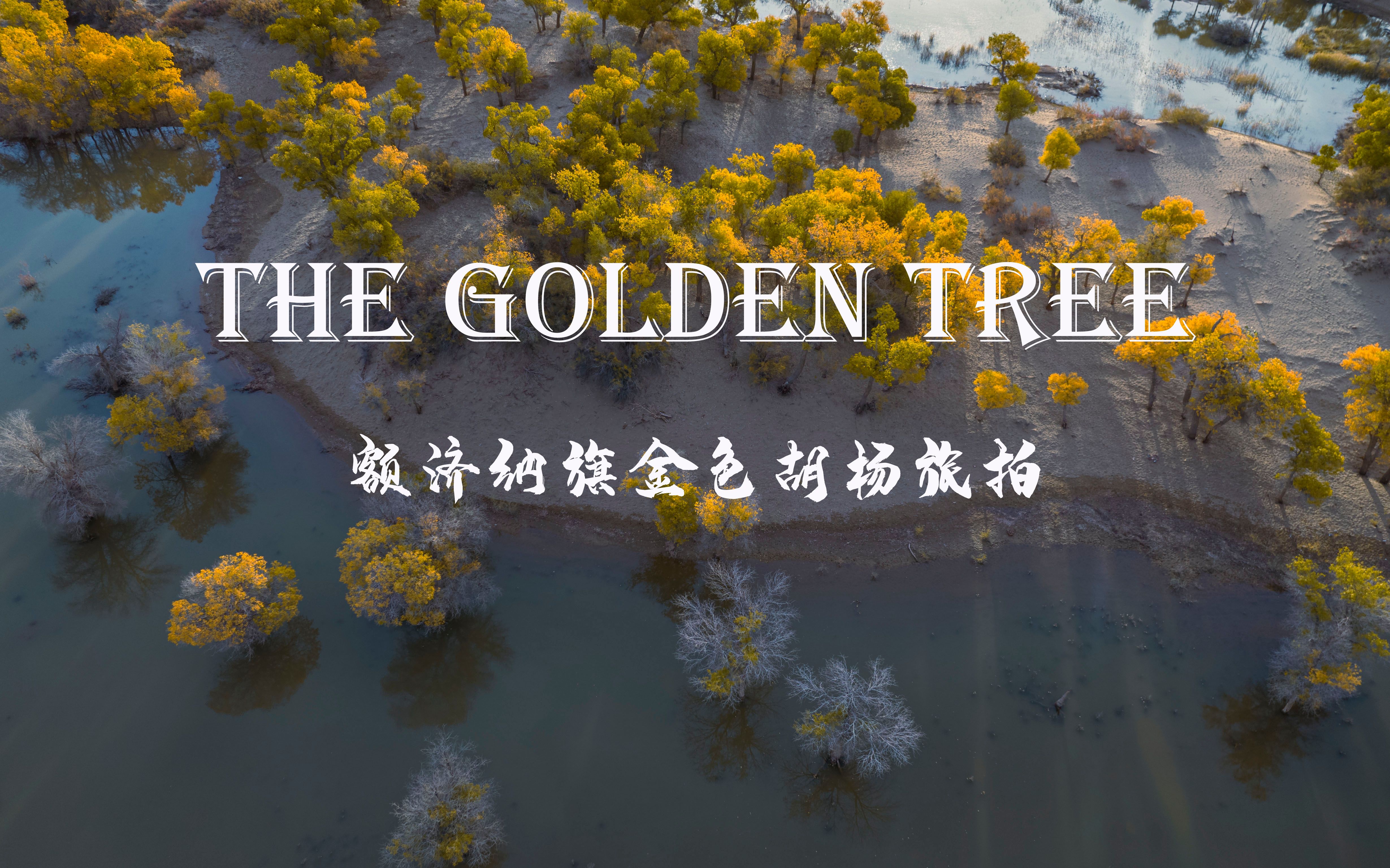 【4K原创】额济纳旗金色胡杨林旅拍短片《The Golden Tree》哔哩哔哩bilibili