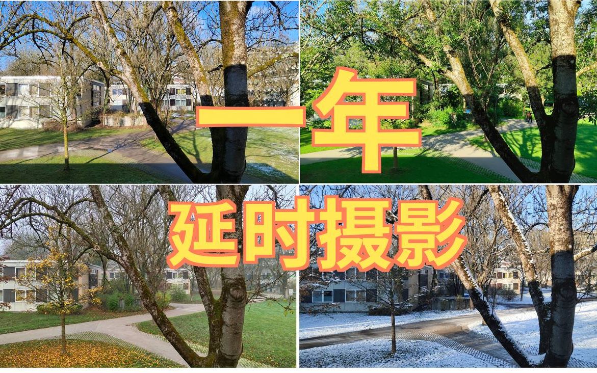 [图]我花了一年时间每天记录我窗外风景的变化