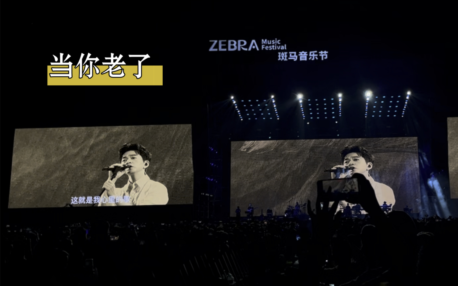 李健 阜阳斑马音乐节 《当你老了》