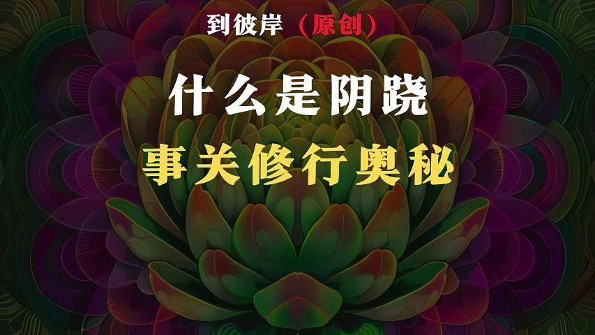 重点解析:什么是阴跷?事关修行的奥秘!哔哩哔哩bilibili