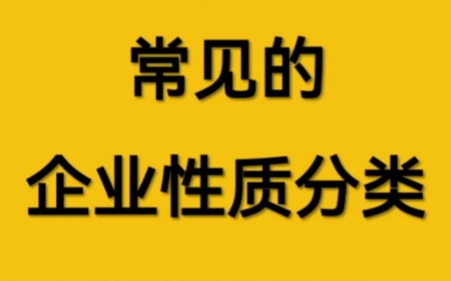 企业的性质分类哔哩哔哩bilibili