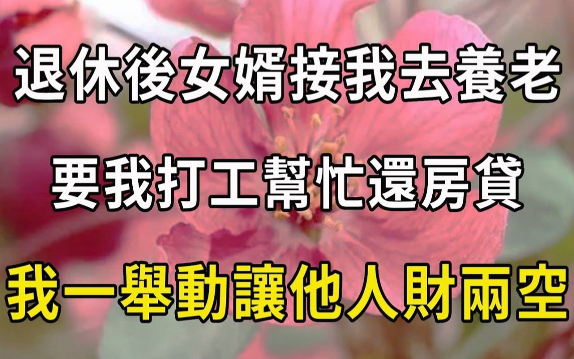 退休后女婿接我去养老,要我打工帮忙还房贷,我一举动让他人财两空!哔哩哔哩bilibili