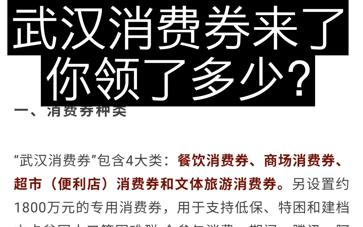 武汉消费券来了,市内市外都可以抢,你抢到了多少?哔哩哔哩bilibili