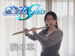 Download Video: 【长笛】高达SEED「暁の車」（晓之车）