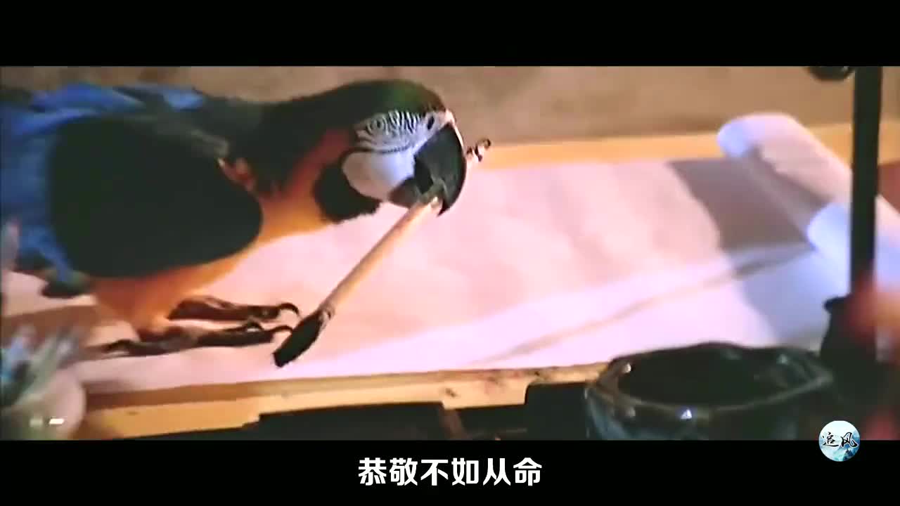 1983年上映绝版武侠,当年惊艳屏幕,可惜很多人都没看过!哔哩哔哩bilibili