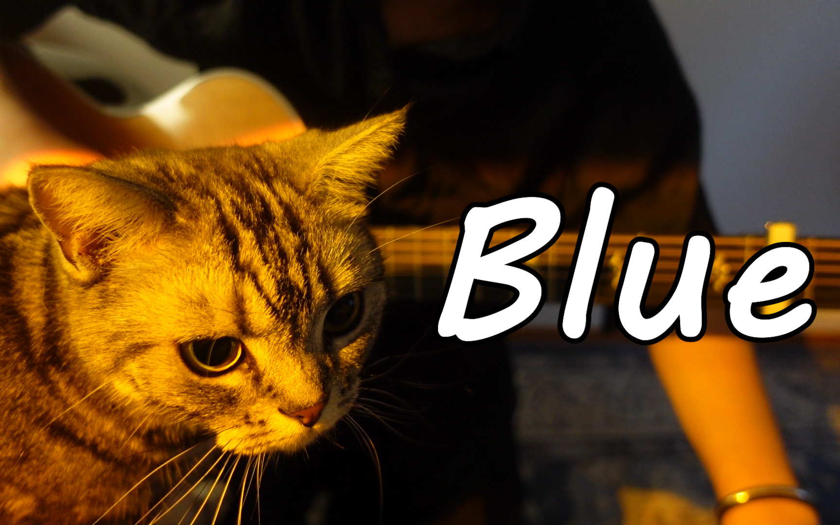 猫都会弹的okapi-blue段落删减版,滑动变调夹()都不用!