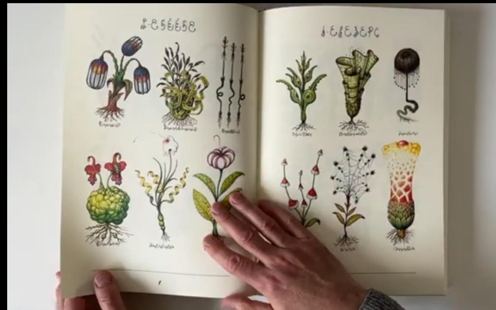 [图]【书影】塞拉菲尼抄本（Codex Seraphinianus）鹿易吉·塞拉菲尼