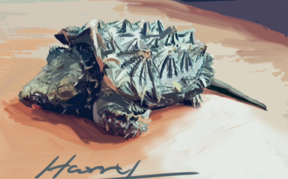 [板绘]手绘大鳄龟