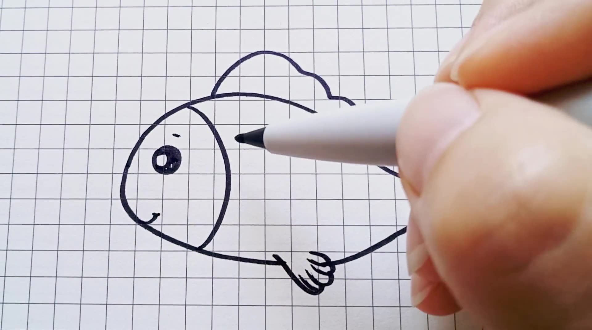 教你怎样画一条简单的大鱼
