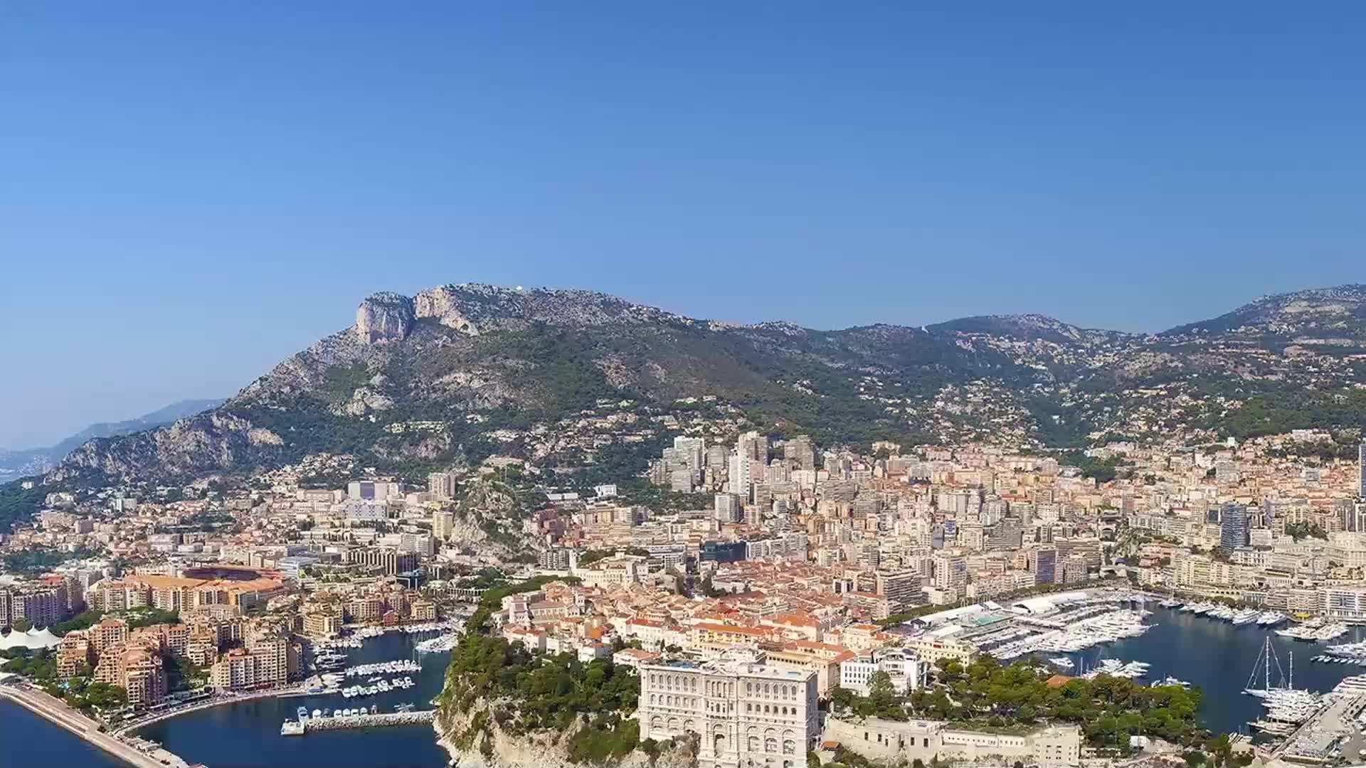 21天自我管理高阶训练营第20期