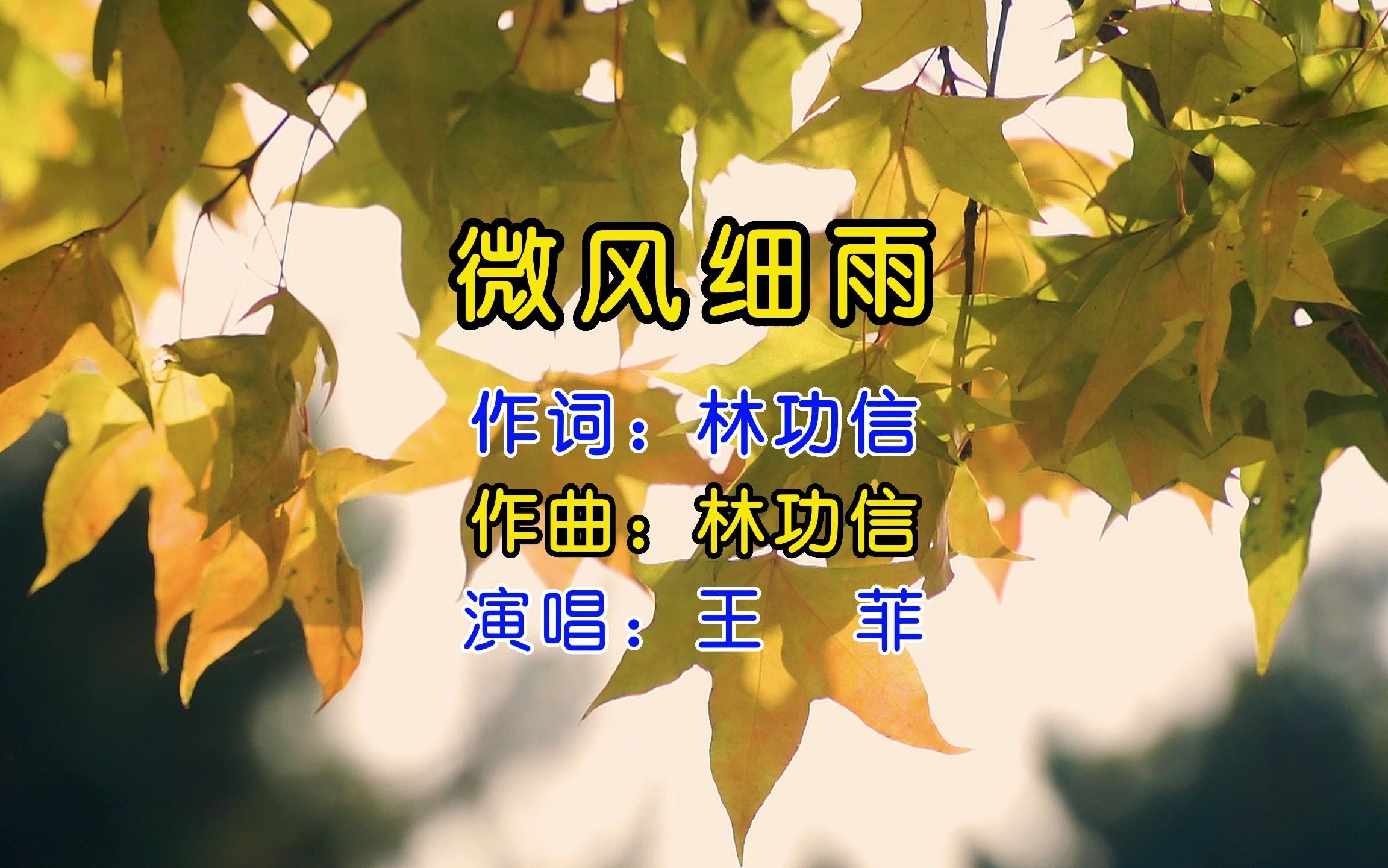 [图]王菲现场版《微风细雨》，每个音符都涤荡人心，空灵深邃的声音令人百听不厌！