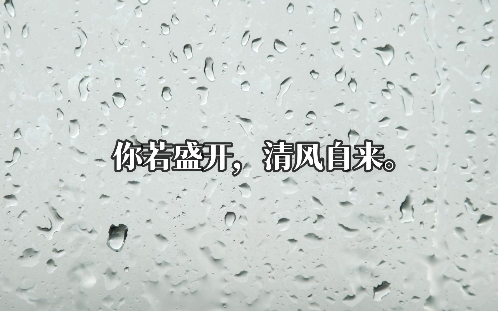 【柒句】关于人生的哲理句段①——“你若盛开,清风自来”|那些触动人心的句子|作文素材哔哩哔哩bilibili